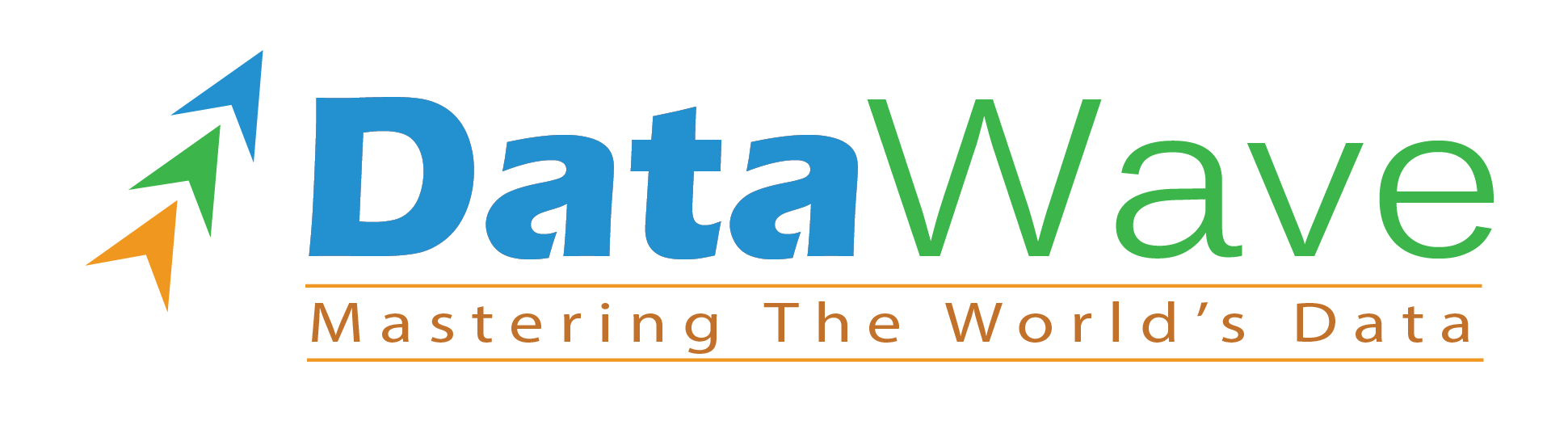 DataWave Logo with text 2017-01